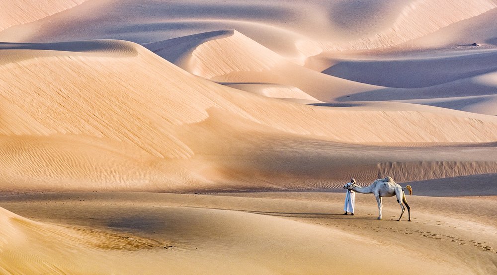Liwa Sands