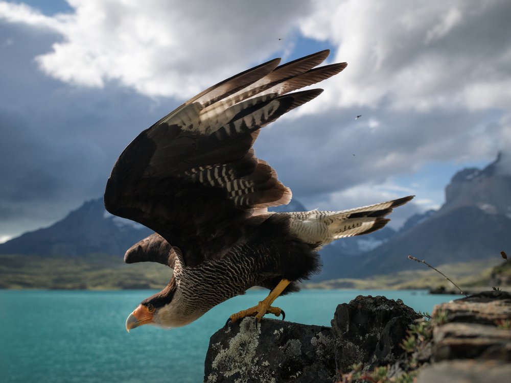 Photograph by Антон Ростовский