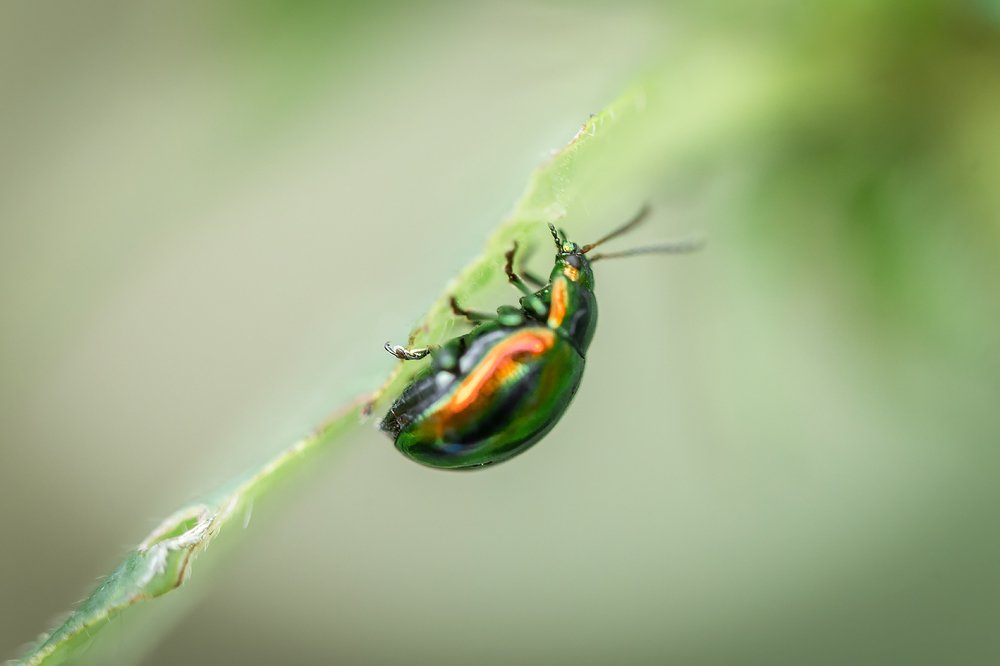Photograph by Анастасия Петрова