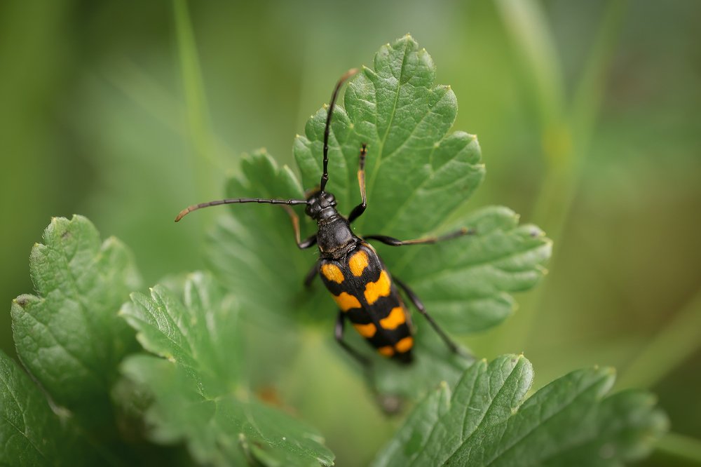 Photograph by Анастасия Петрова
