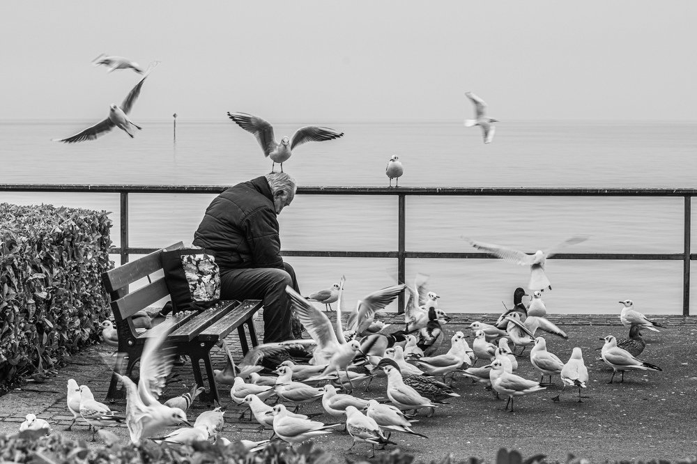 Photograph by Schewzow Lana