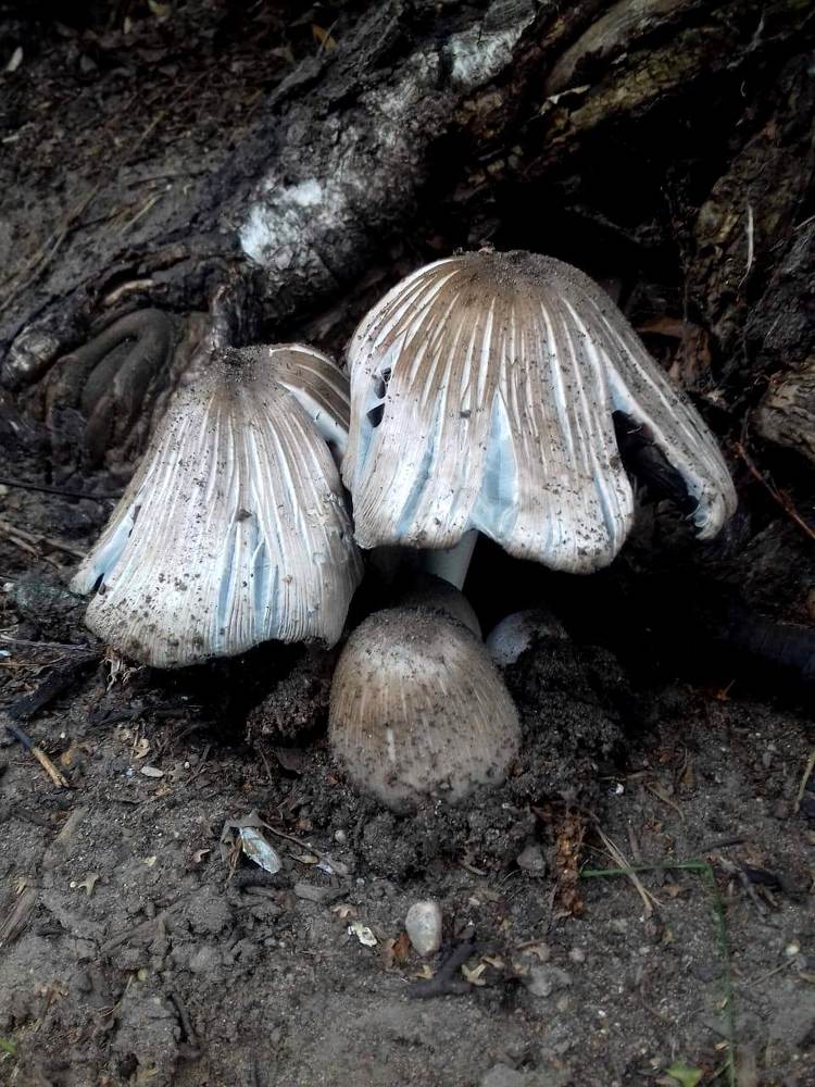 Фотография автора Владислава Андрюнина