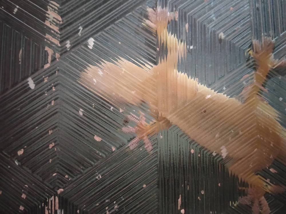 Photograph by Rahul Saha