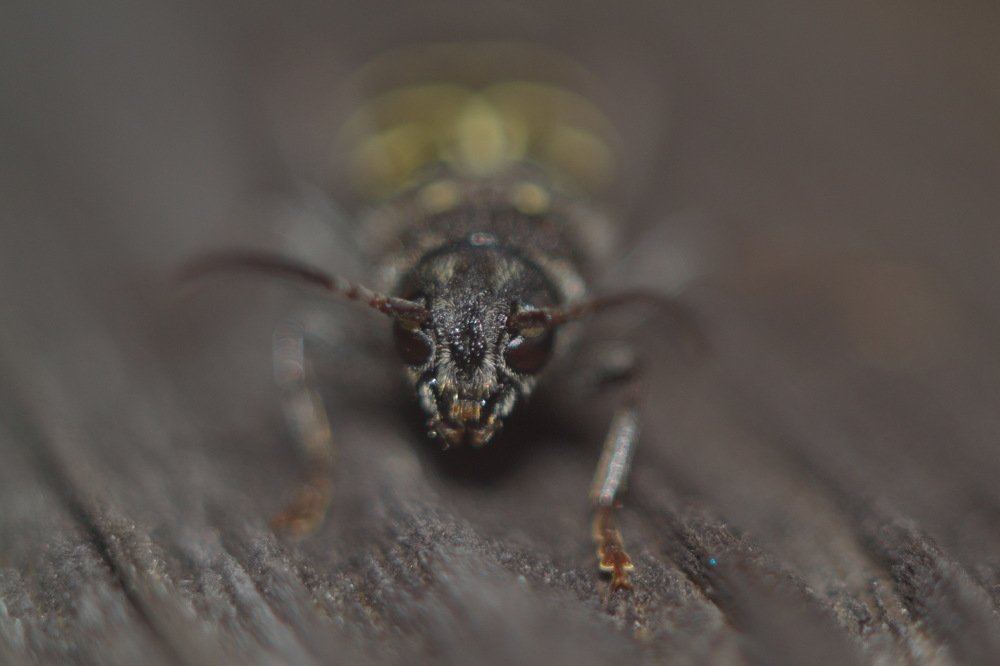 Photograph by Антон Казначеев