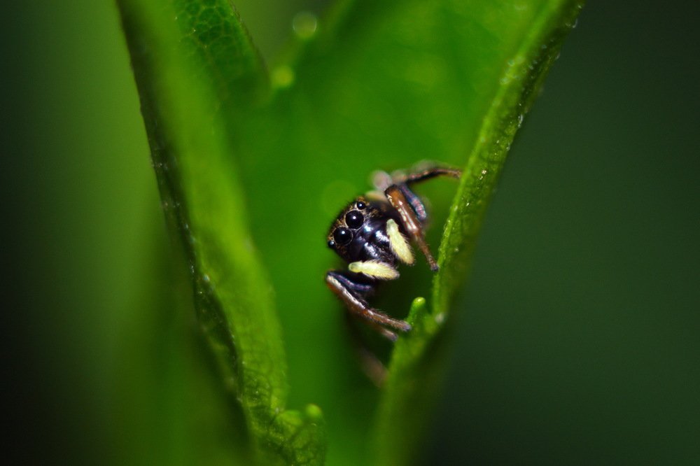 Photograph by Антон Казначеев