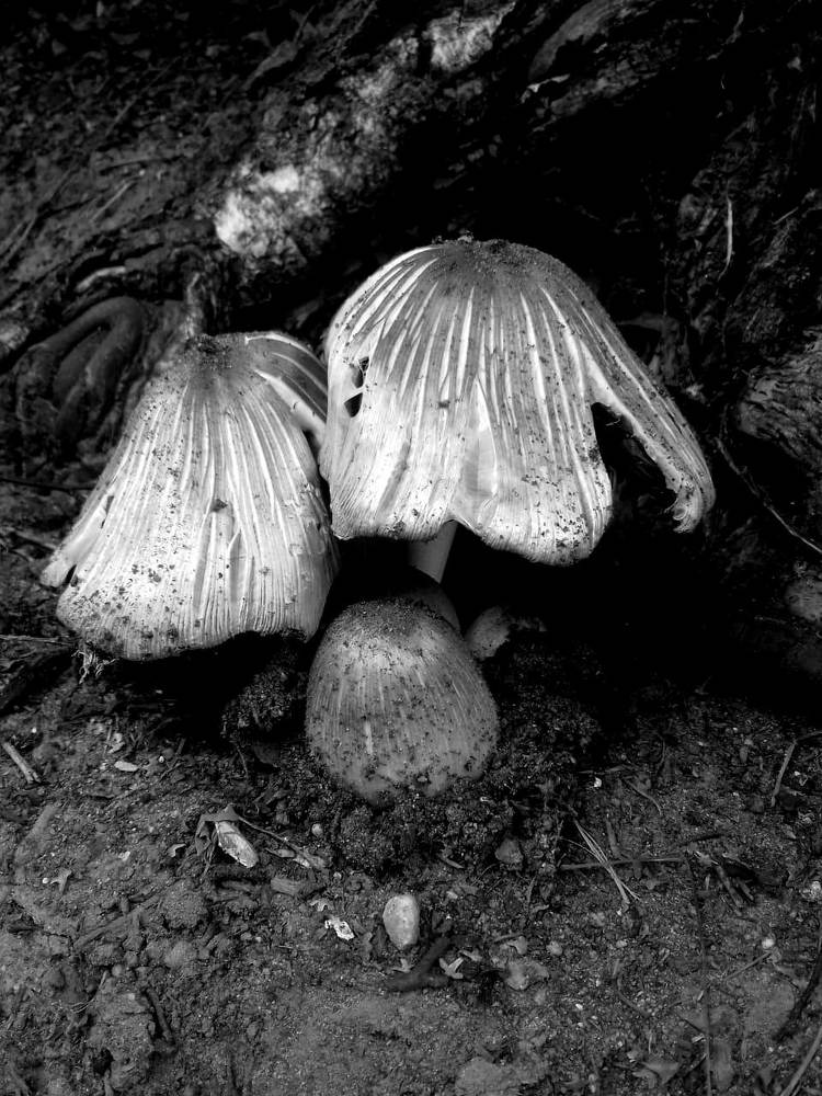 Фотография автора Владислава Андрюнина