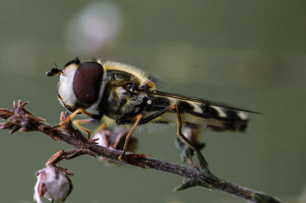 Photograph by Александра Юсупова
