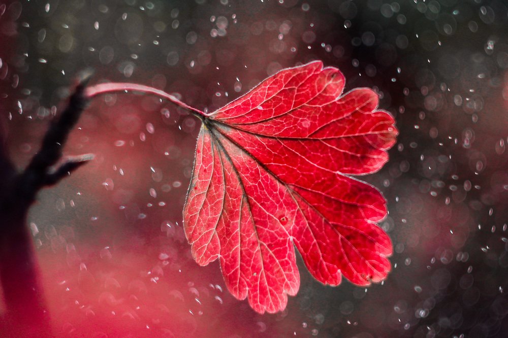 Photograph by Александра Юсупова