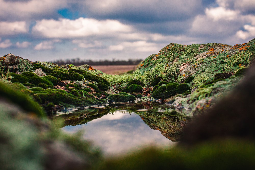 Photograph by Дмитрий Федорченко