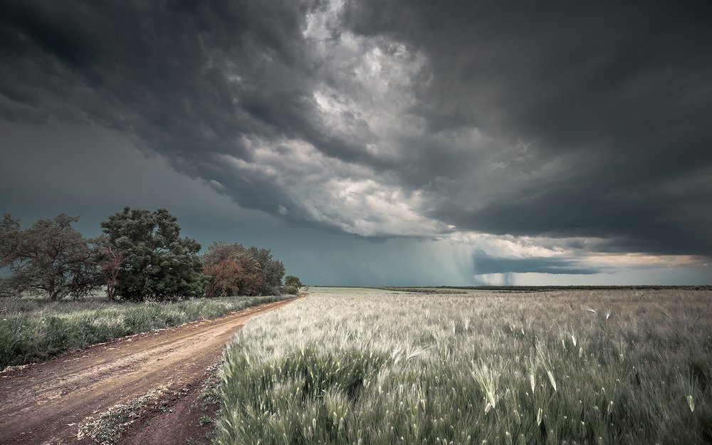 Июнь. Грозовой фронт приближается.  June. The storm front is approaching.