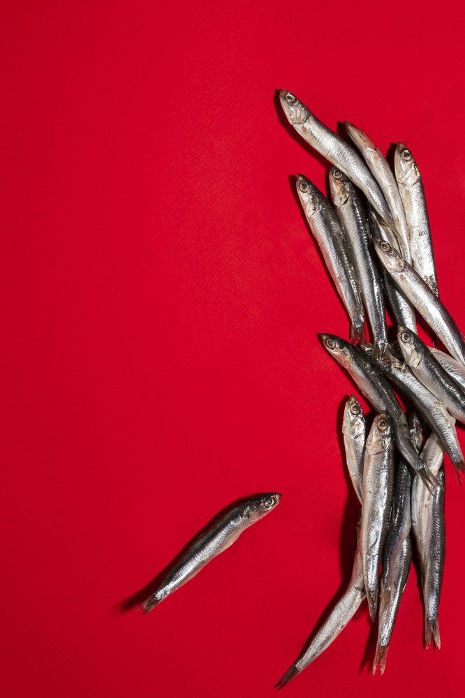 Photograph by Никита