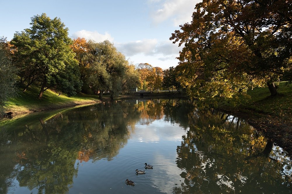 Photograph by Алексей Шамашов