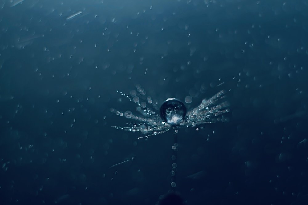 Photograph by Наталья Мищенко