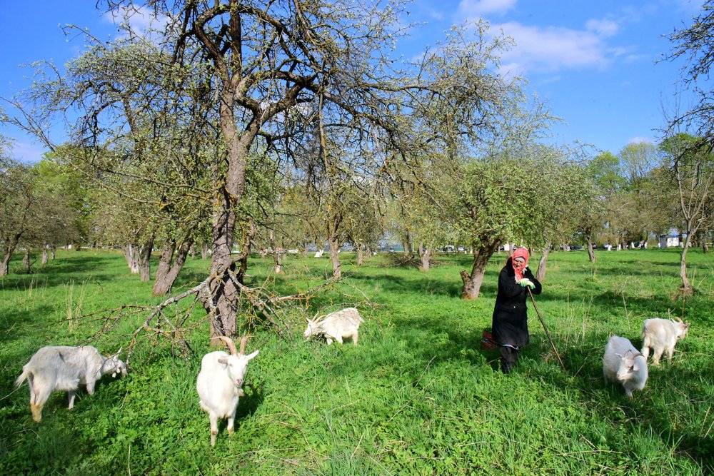 Майская идиллия