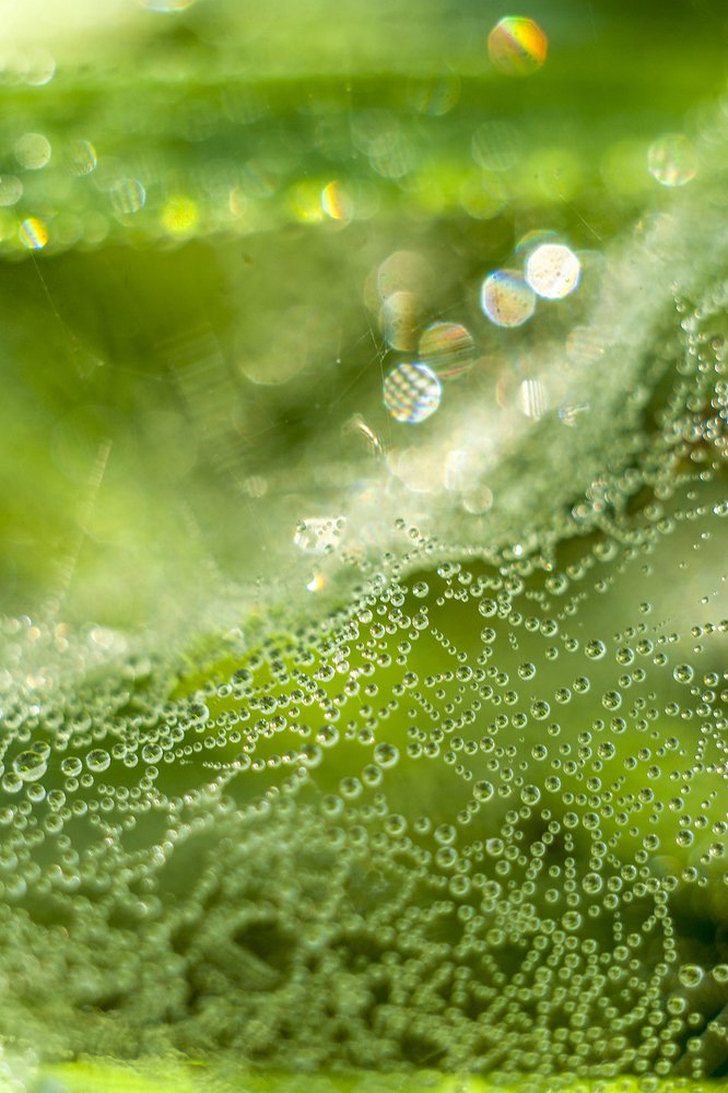 Магический портал