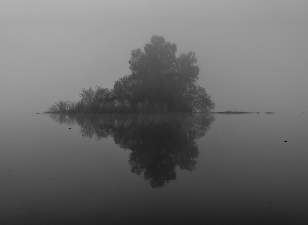 Photo #4432845