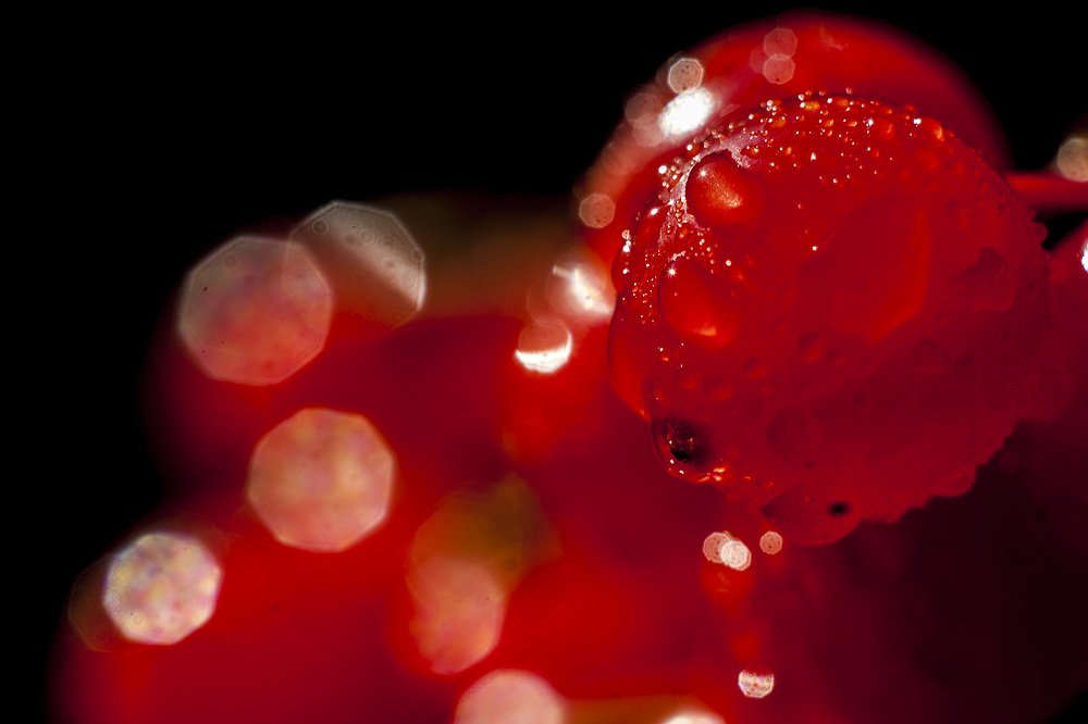 Красное и чёрное