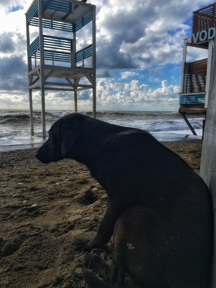 Photograph by Ленар Маликов