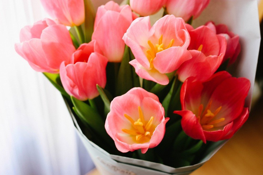 Photograph by Ирина Воронович