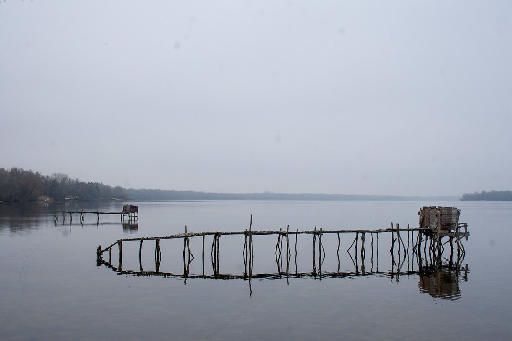 Постапокалиптические многоножки
