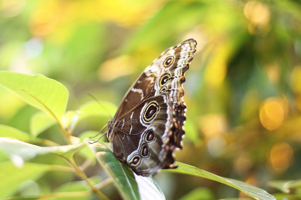 Photograph by Галина