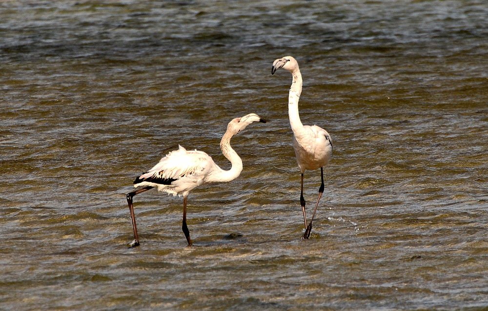 Я тебе говорила, что это не Испания!