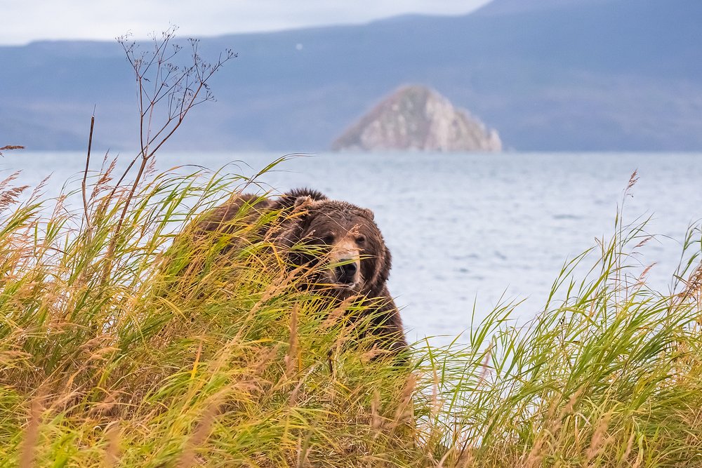 Photograph by Екатерина (PhotoJourneys.ru) Васягина