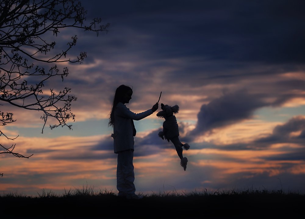 Дотянутся до неба.