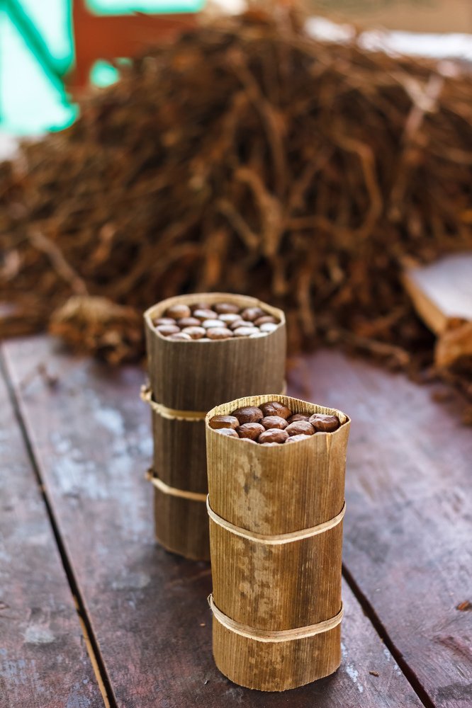 Photograph by Jermaine Headley