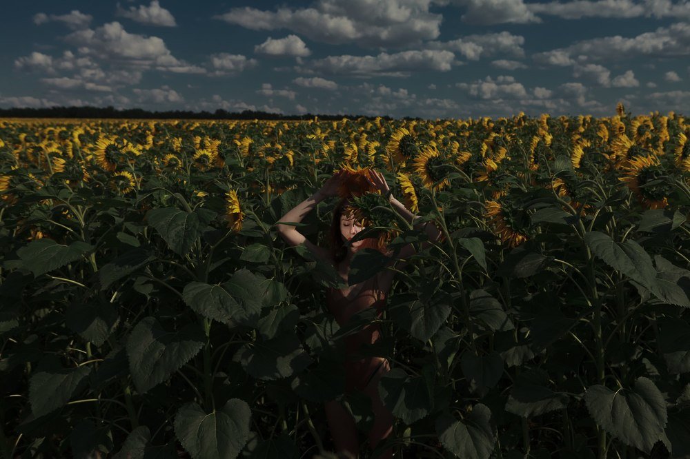 Фотография автора  DEWFRAME ֔