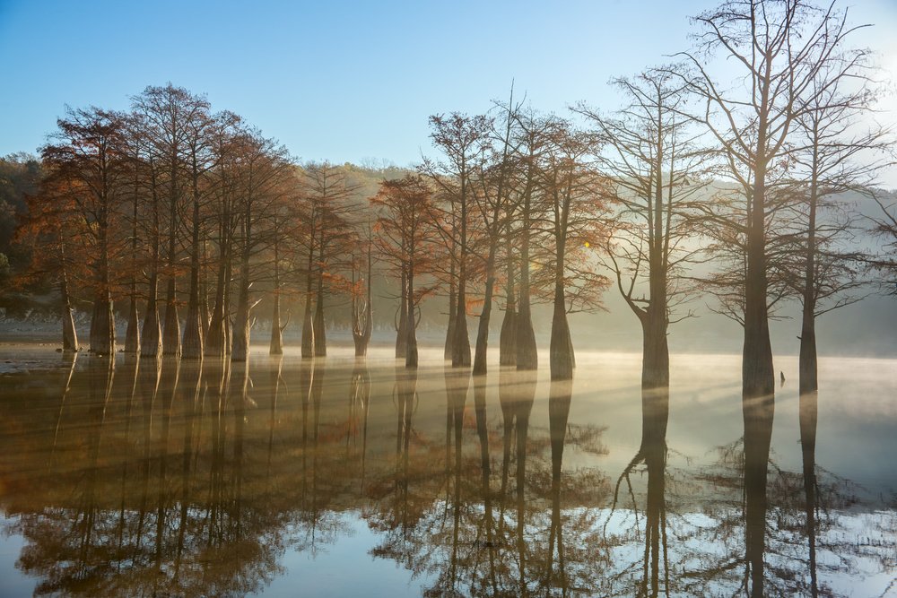 Photograph by Роман Колесников