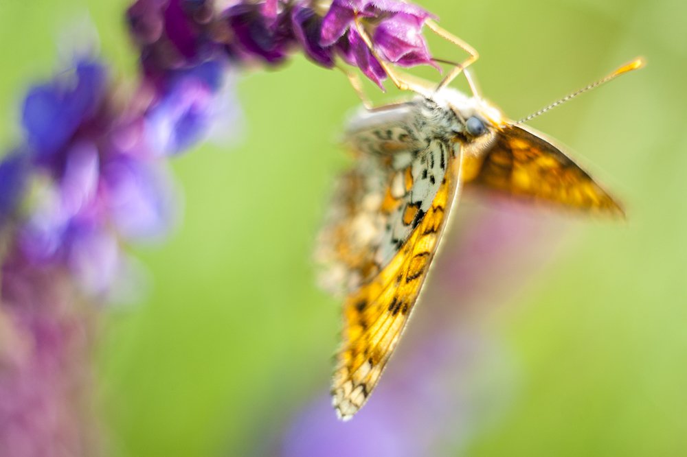 Под другим углом зрения