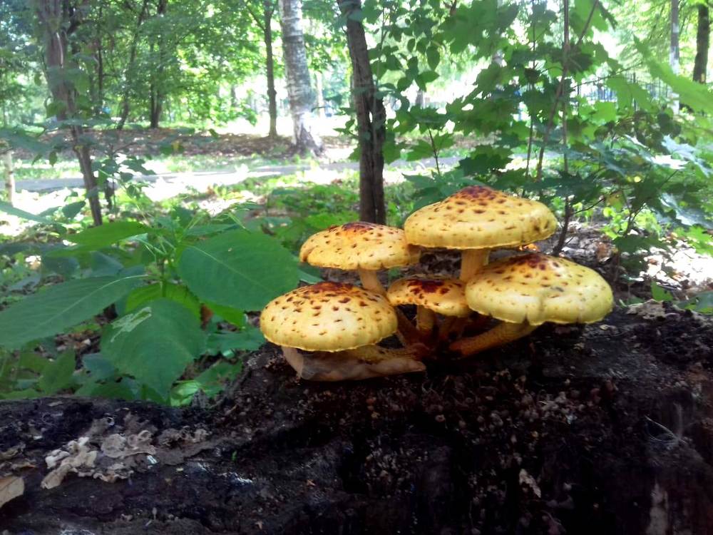 Фотография автора Владислава Андрюнина