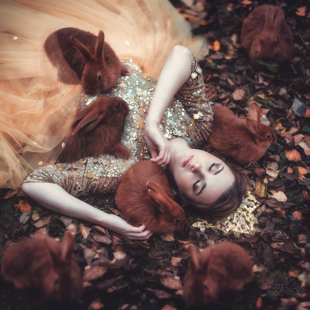 Photograph by Галина Забрускова