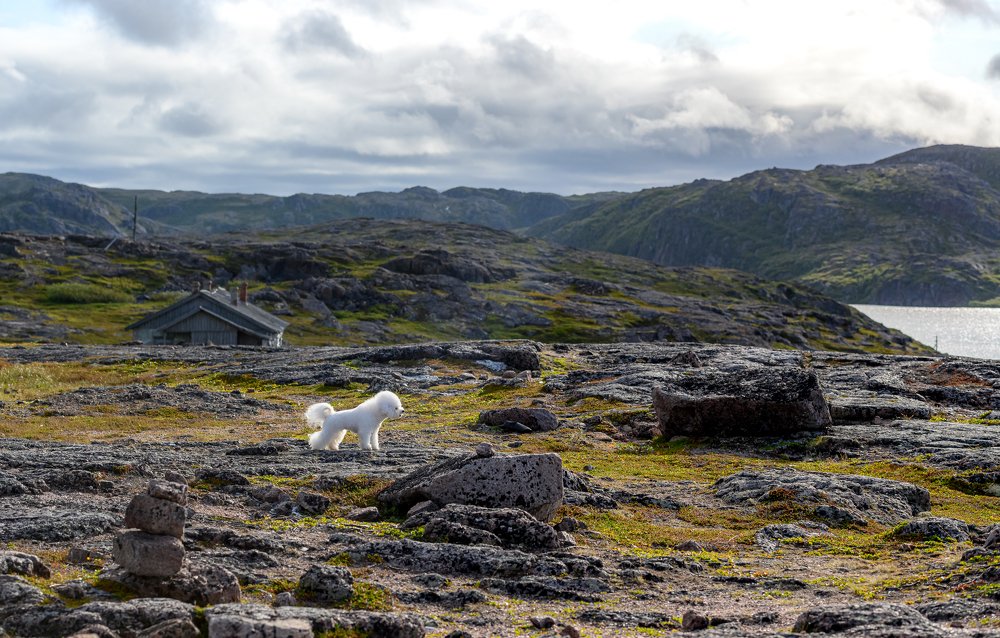 Photograph by Мария Новоселецкая