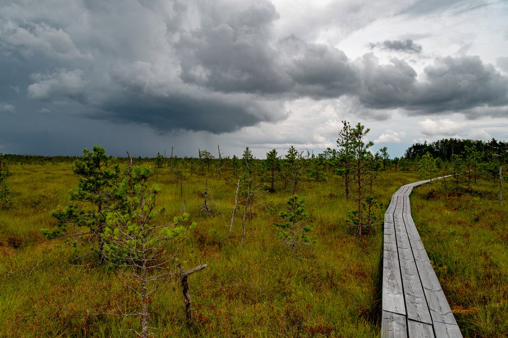 Photograph by Мария Новоселецкая