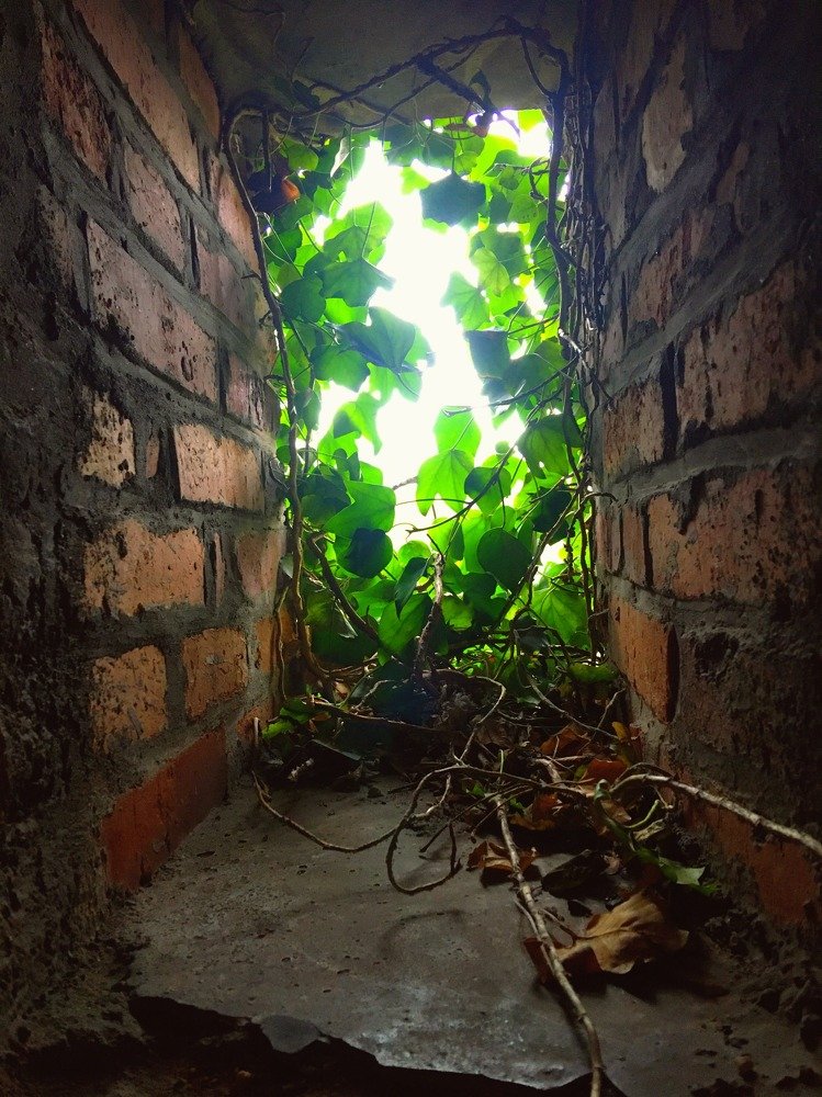 Photograph by Евгения Володина