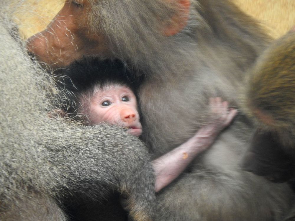 Photograph by Слава Гальперин