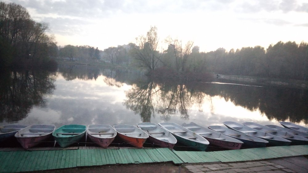 Photo #4433383