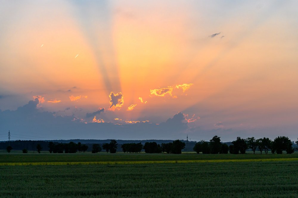 Photograph by Мария Новоселецкая