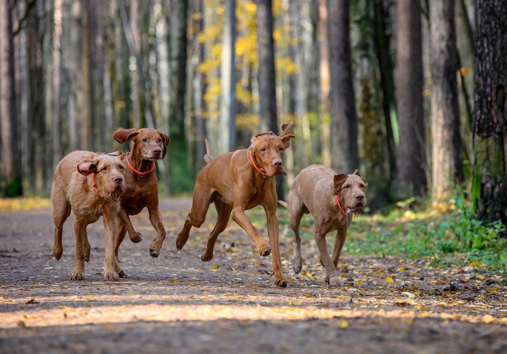 Photograph by Мария Новоселецкая