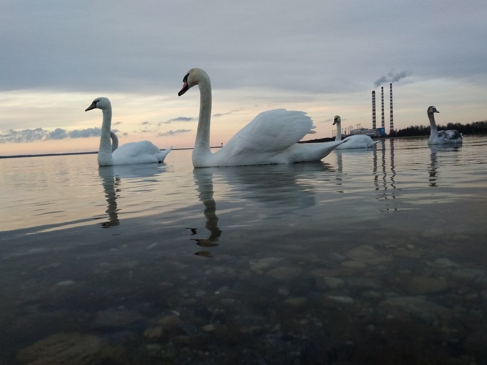 Photograph by Sergei Astashov
