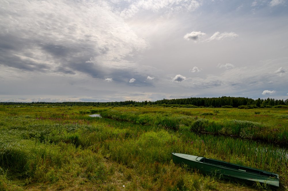 Photograph by Мария Новоселецкая