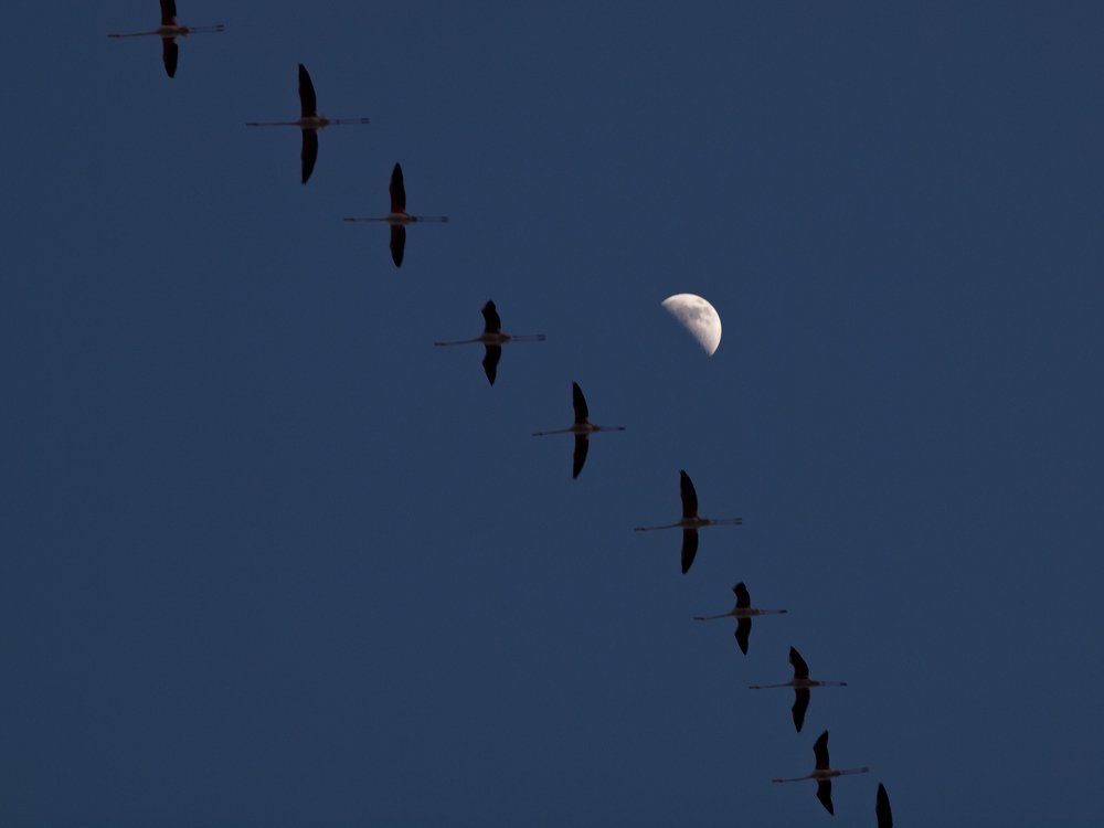 Photograph by Александр