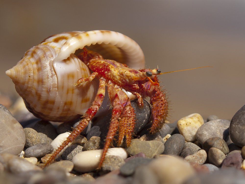 Photograph by Александр