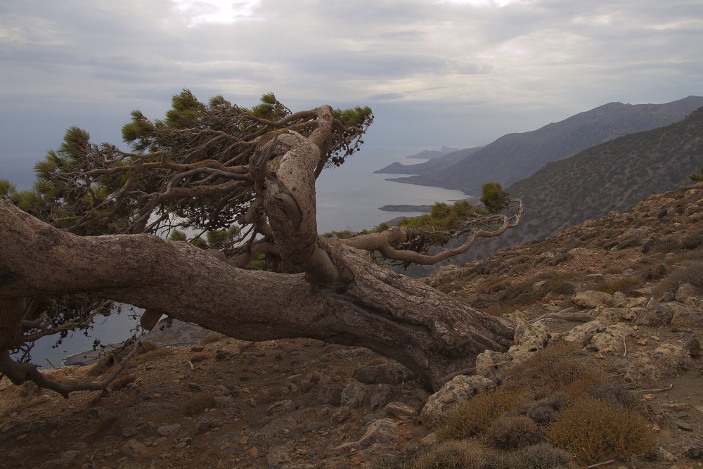 Photograph by Александр