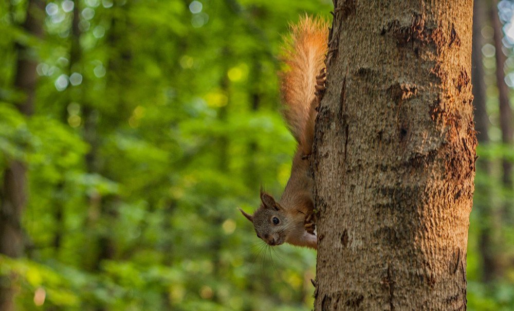 Photograph by Павел Орлов
