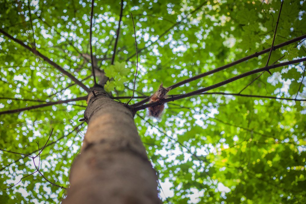 Photograph by Павел Орлов