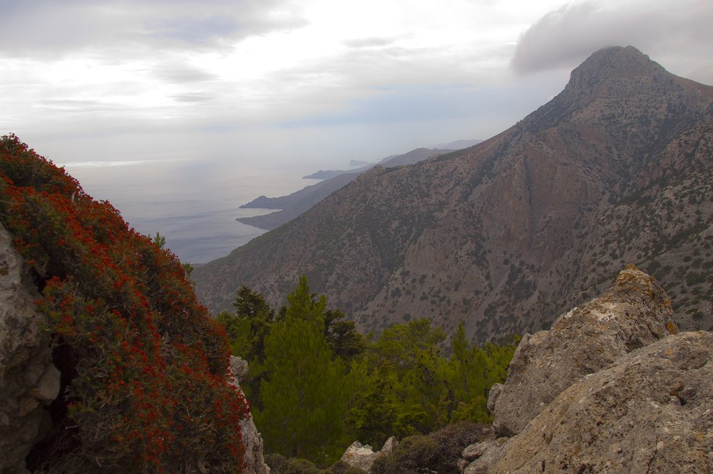 Photograph by Александр