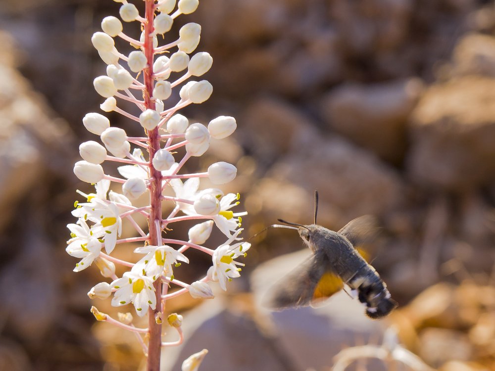 Photograph by Александр